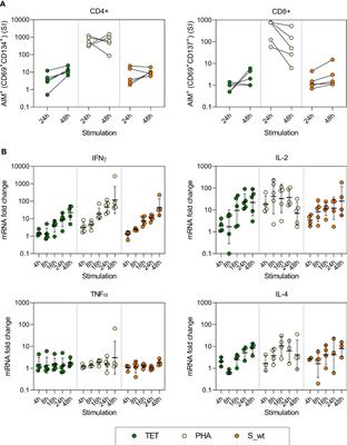 Long-Lasting T Cell Responses in BNT162b2 COVID-19 mRNA Vaccinees and COVID-19 Convalescent Patients